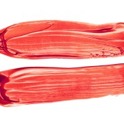 inktorpeda_pearl_czerwona_perlowa_farba_wodna_do_sitodruku_sitofach (2).jpg